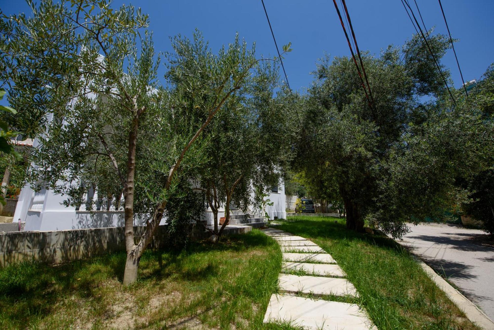 Olivium Rooms Vlorë Екстериор снимка